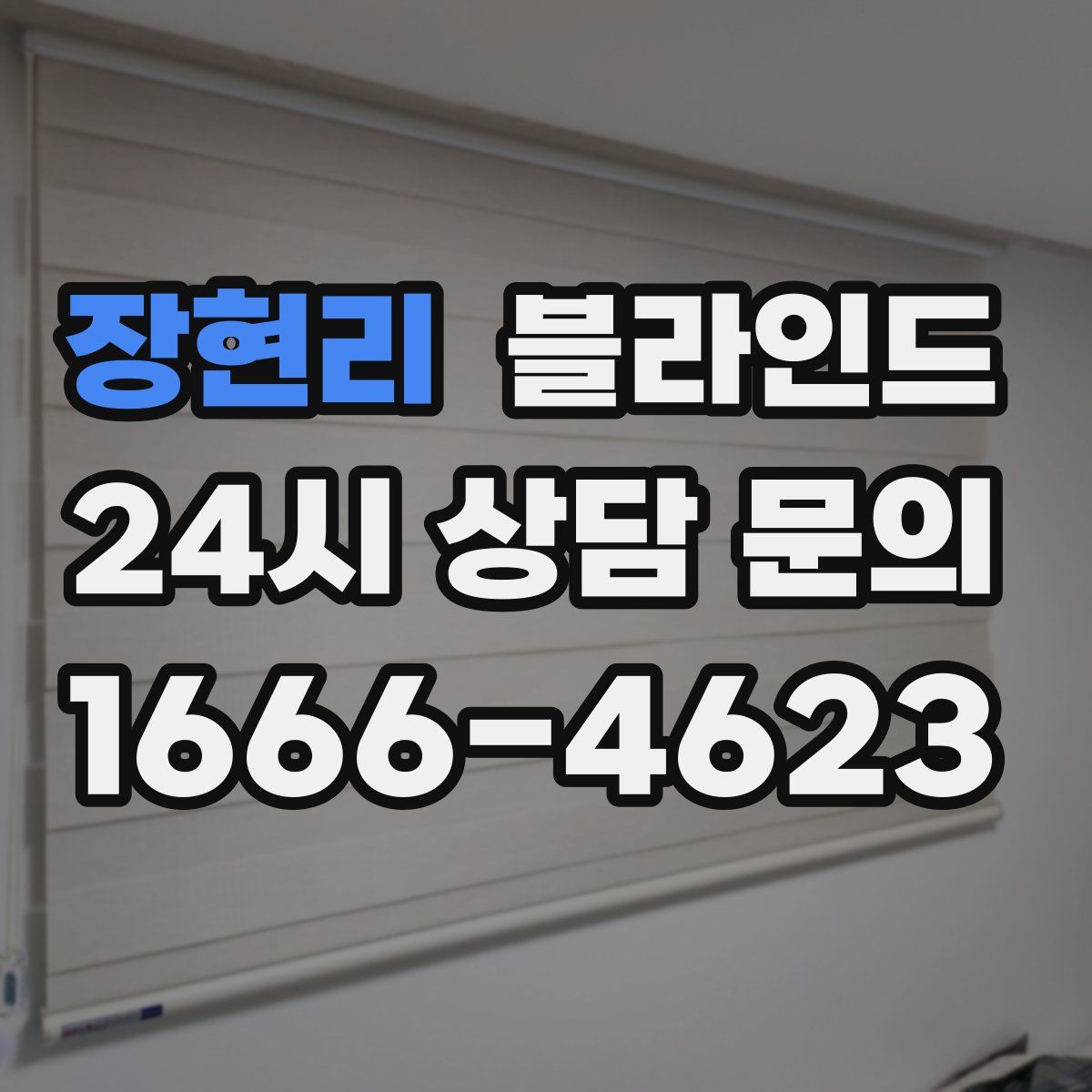 장현리 블라인드