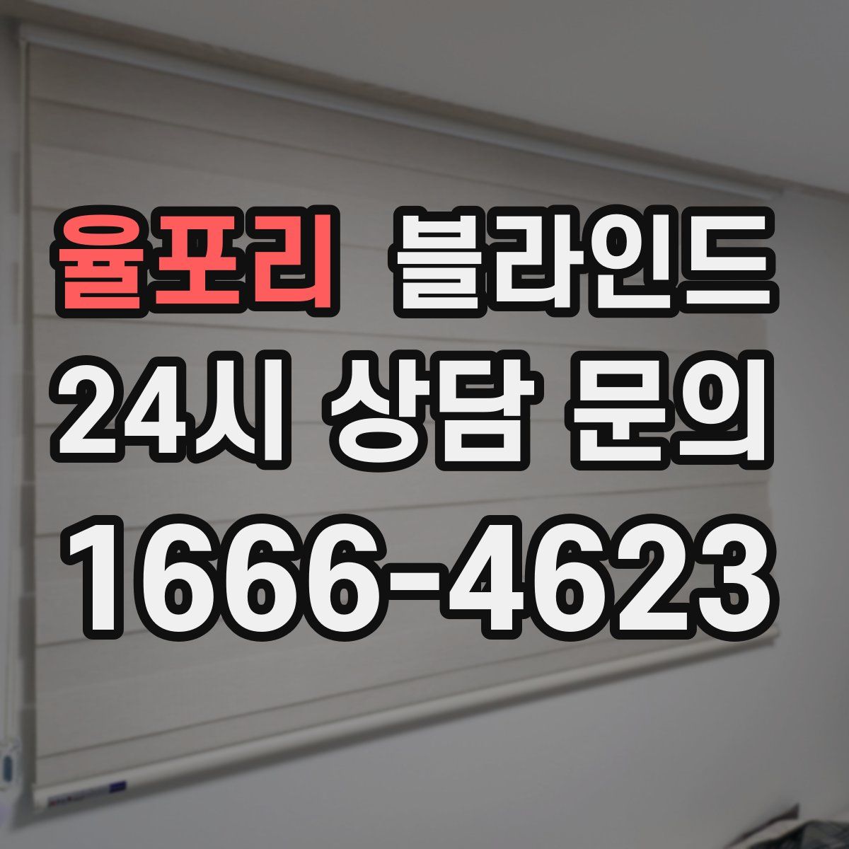 율포리 블라인드