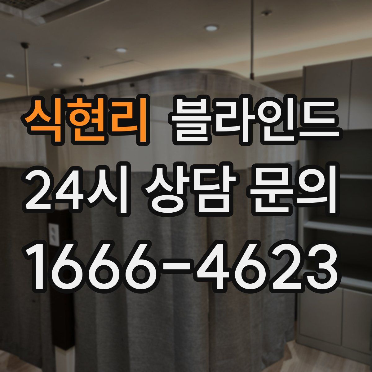 식현리 블라인드