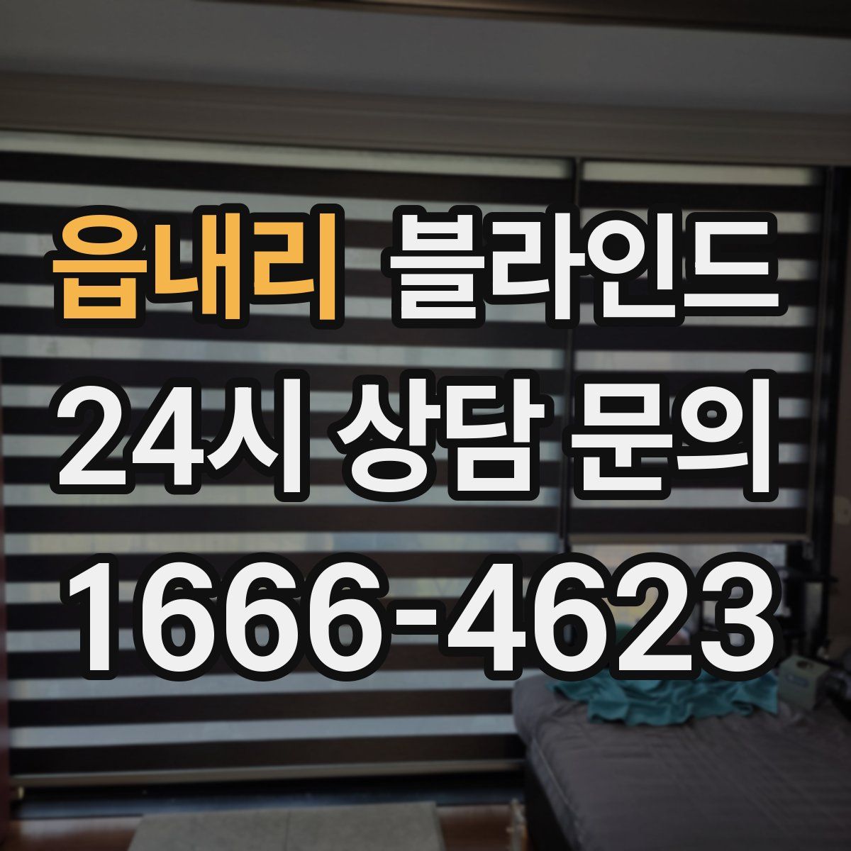 읍내리 블라인드