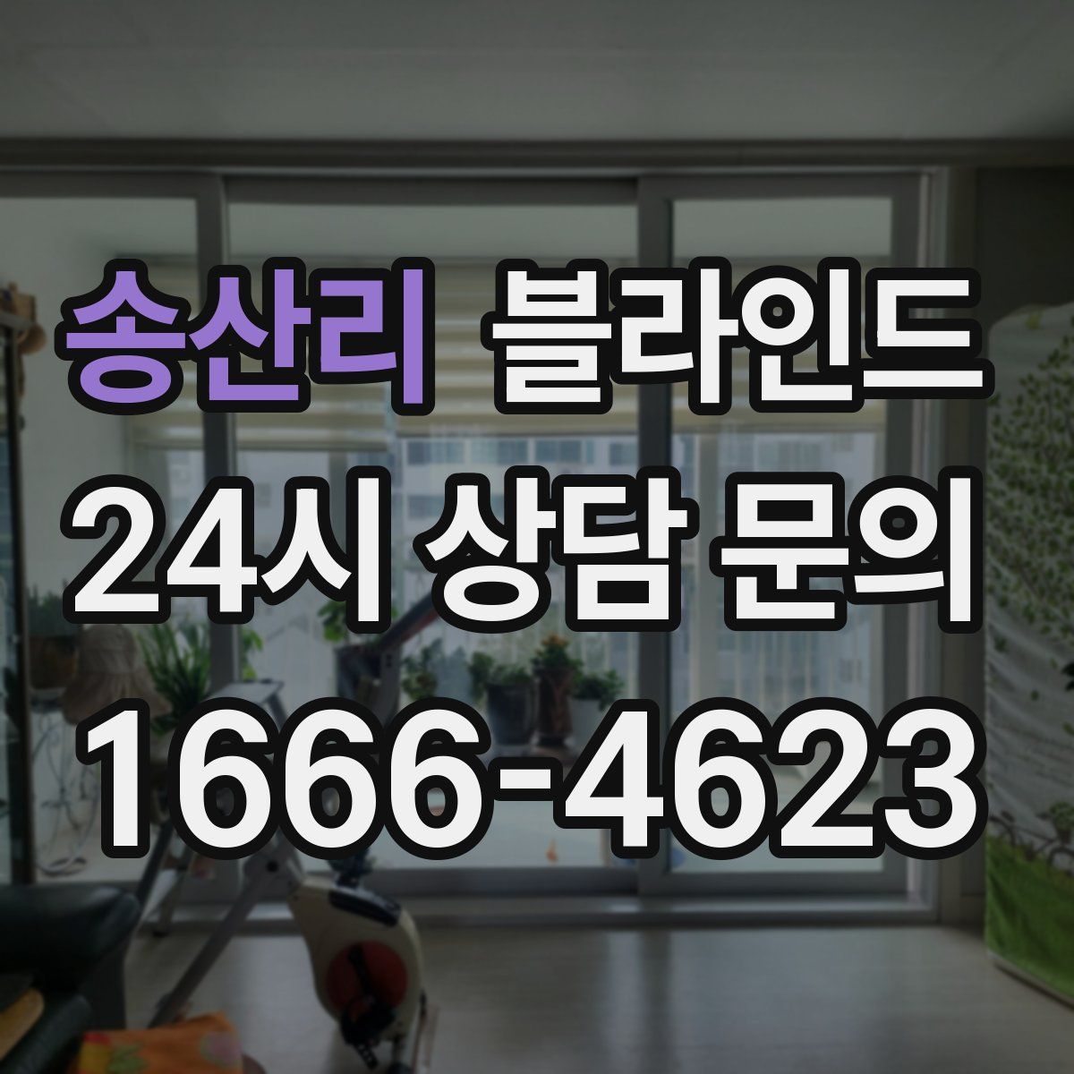 송산리 블라인드