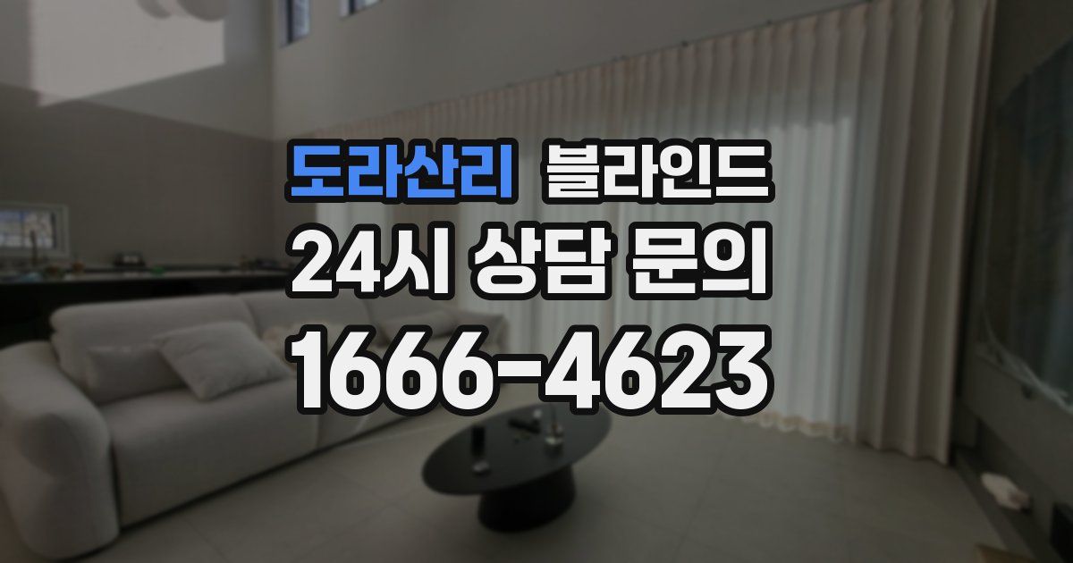 도라산리 블라인드