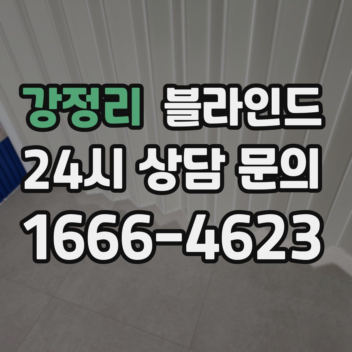 강정리 블라인드