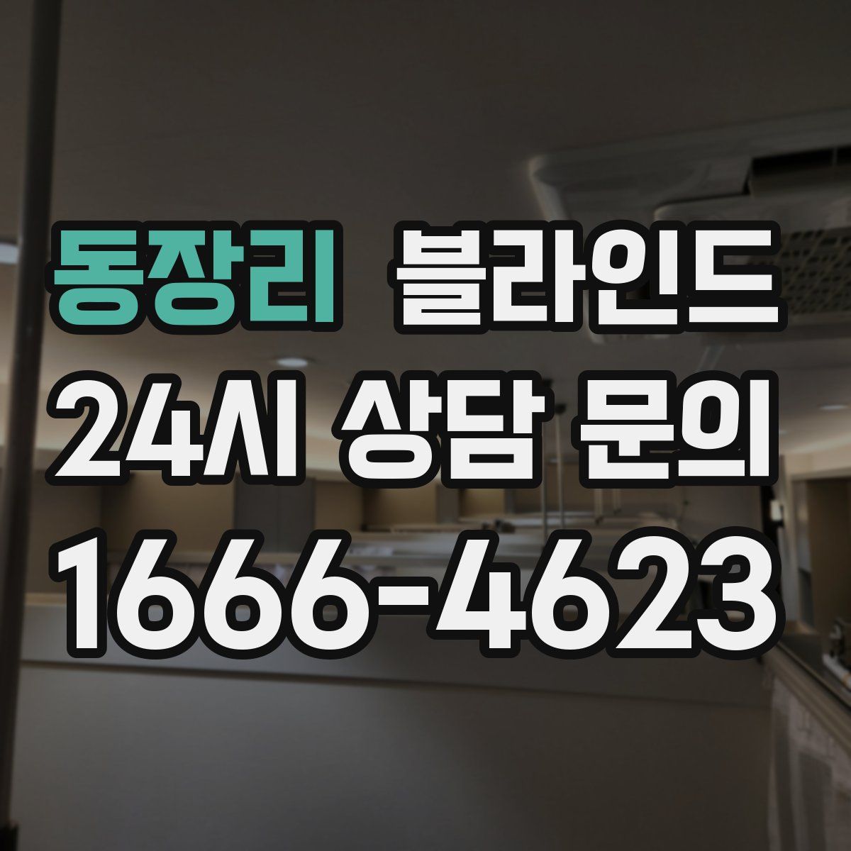 동장리 블라인드