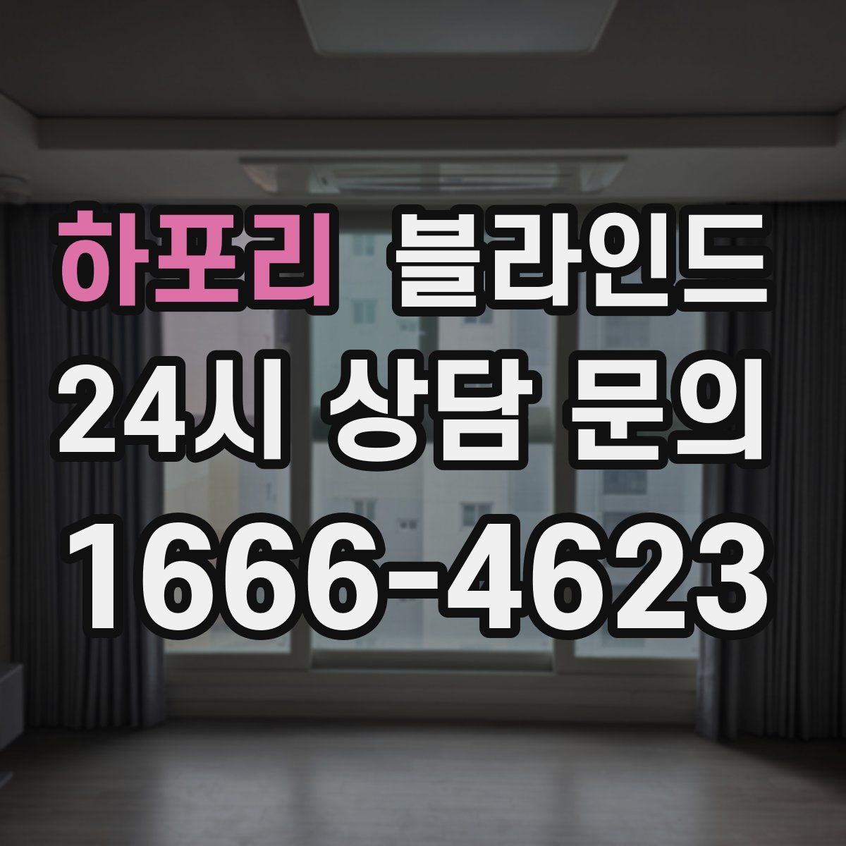 하포리 블라인드