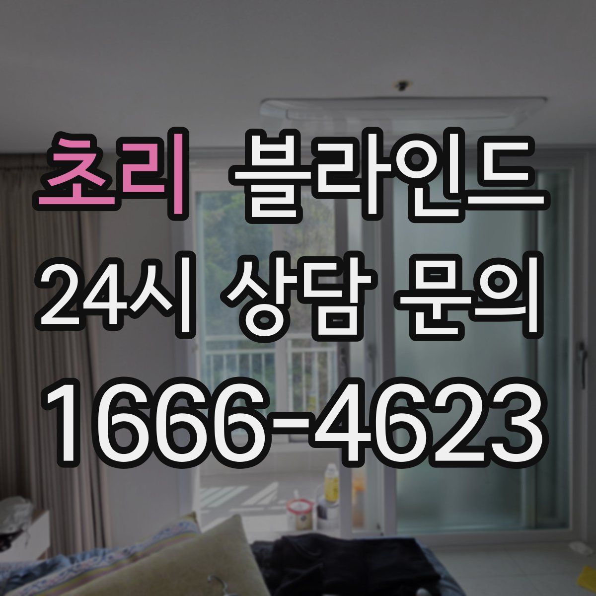 초리 블라인드