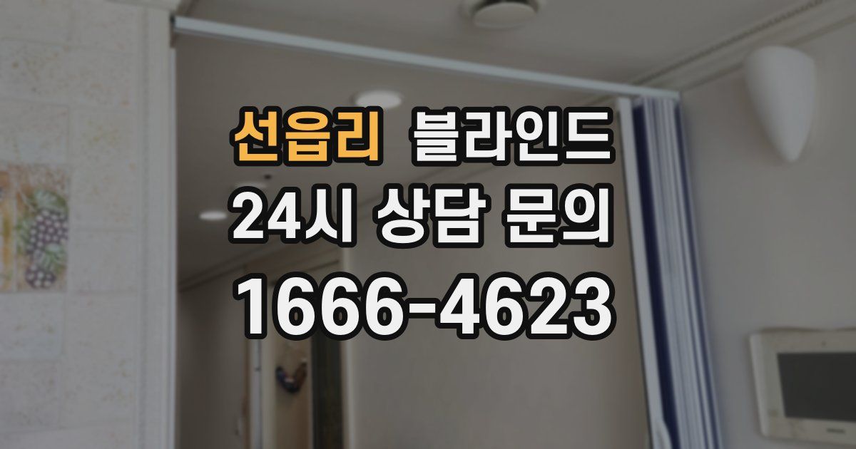 선읍리 블라인드