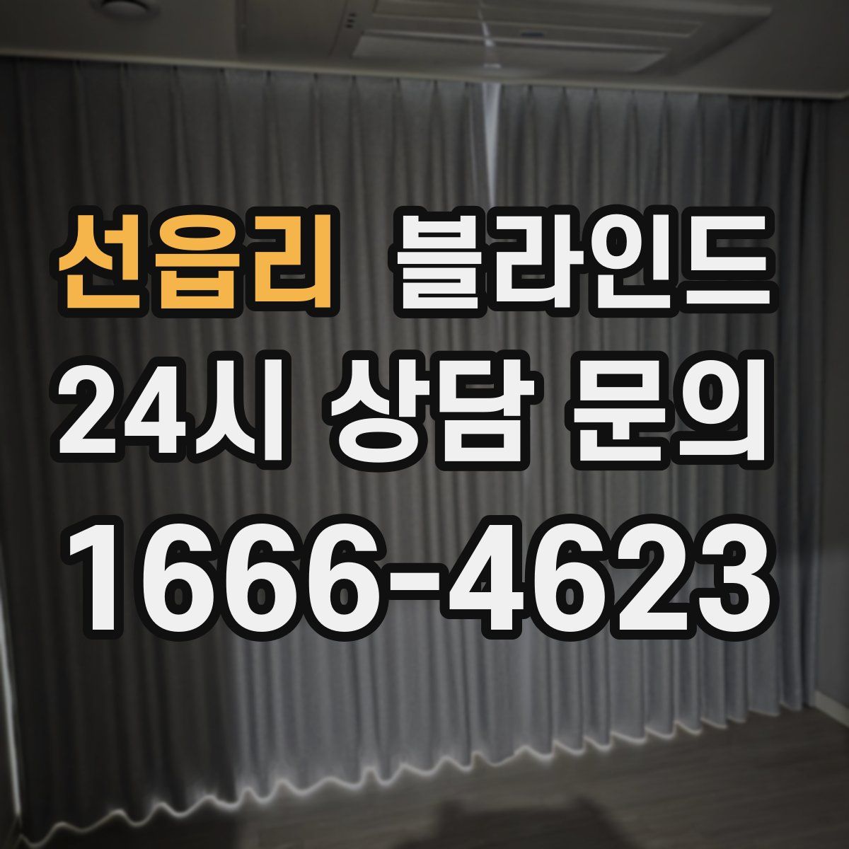 선읍리 블라인드