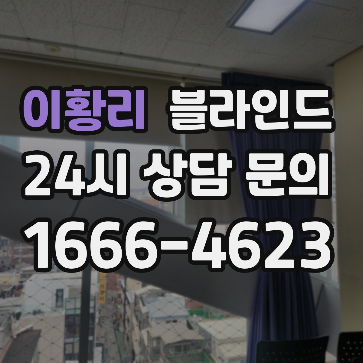 이황리 블라인드