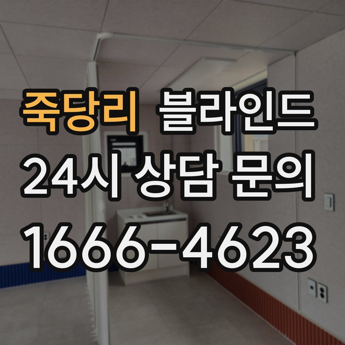 죽당리 블라인드