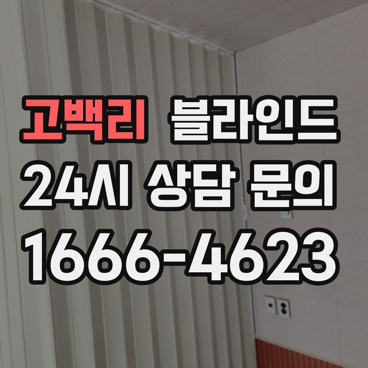 고백리 블라인드