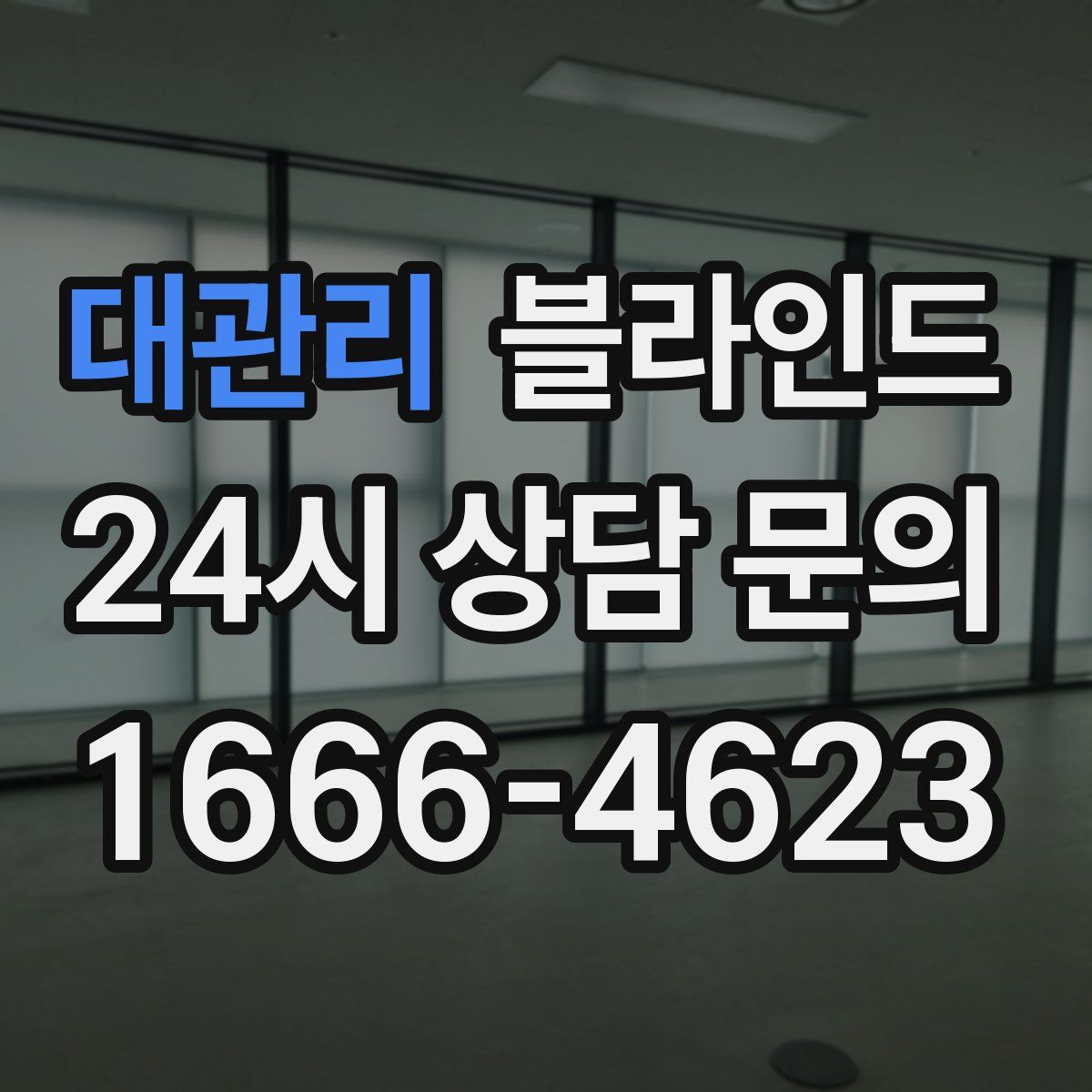 대관리 블라인드