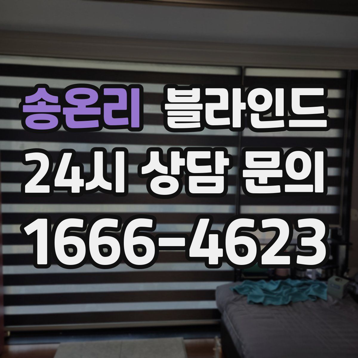 송온리 블라인드