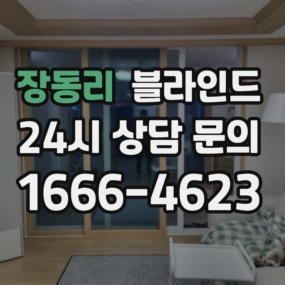 장동리 블라인드