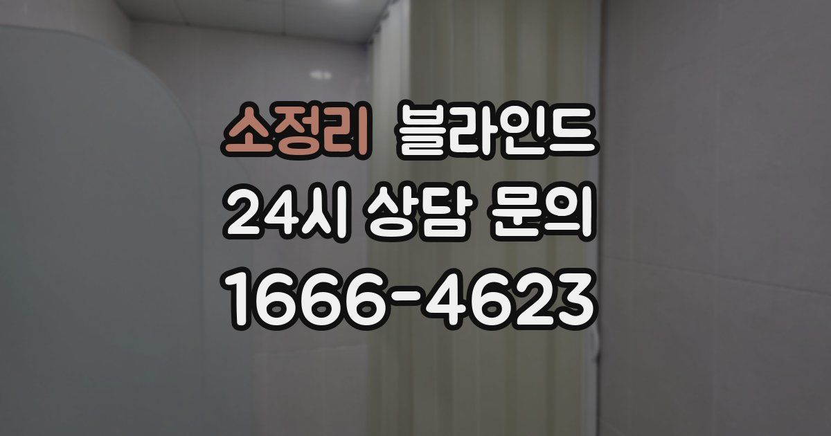 소정리 블라인드