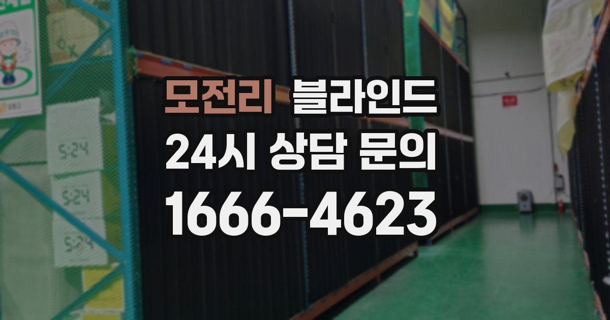 모전리 블라인드