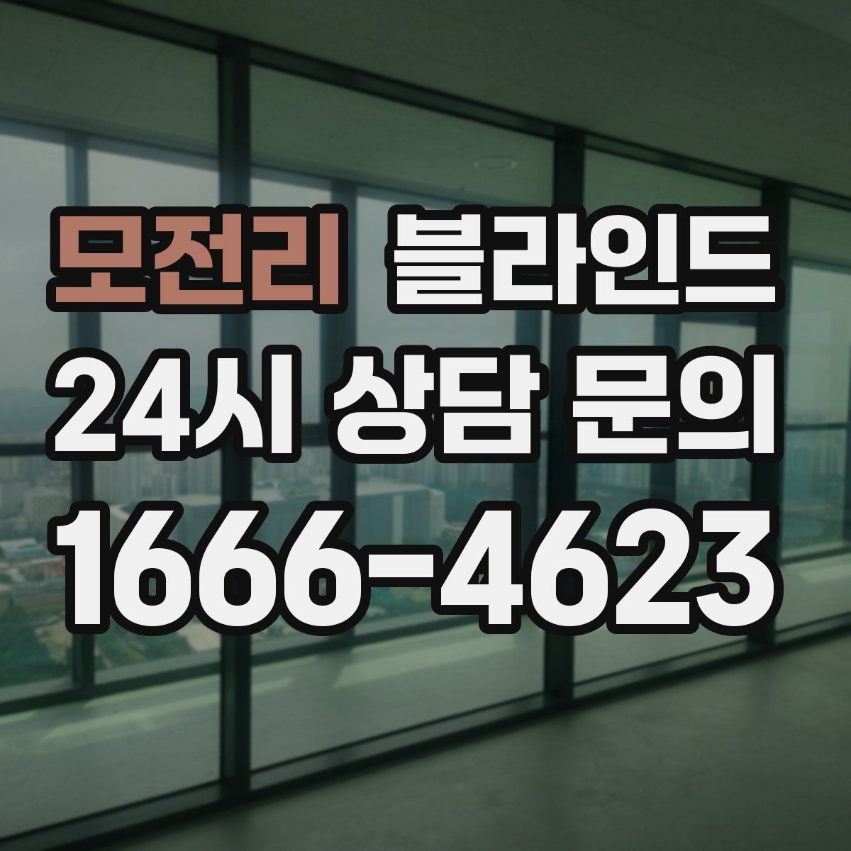 모전리 블라인드