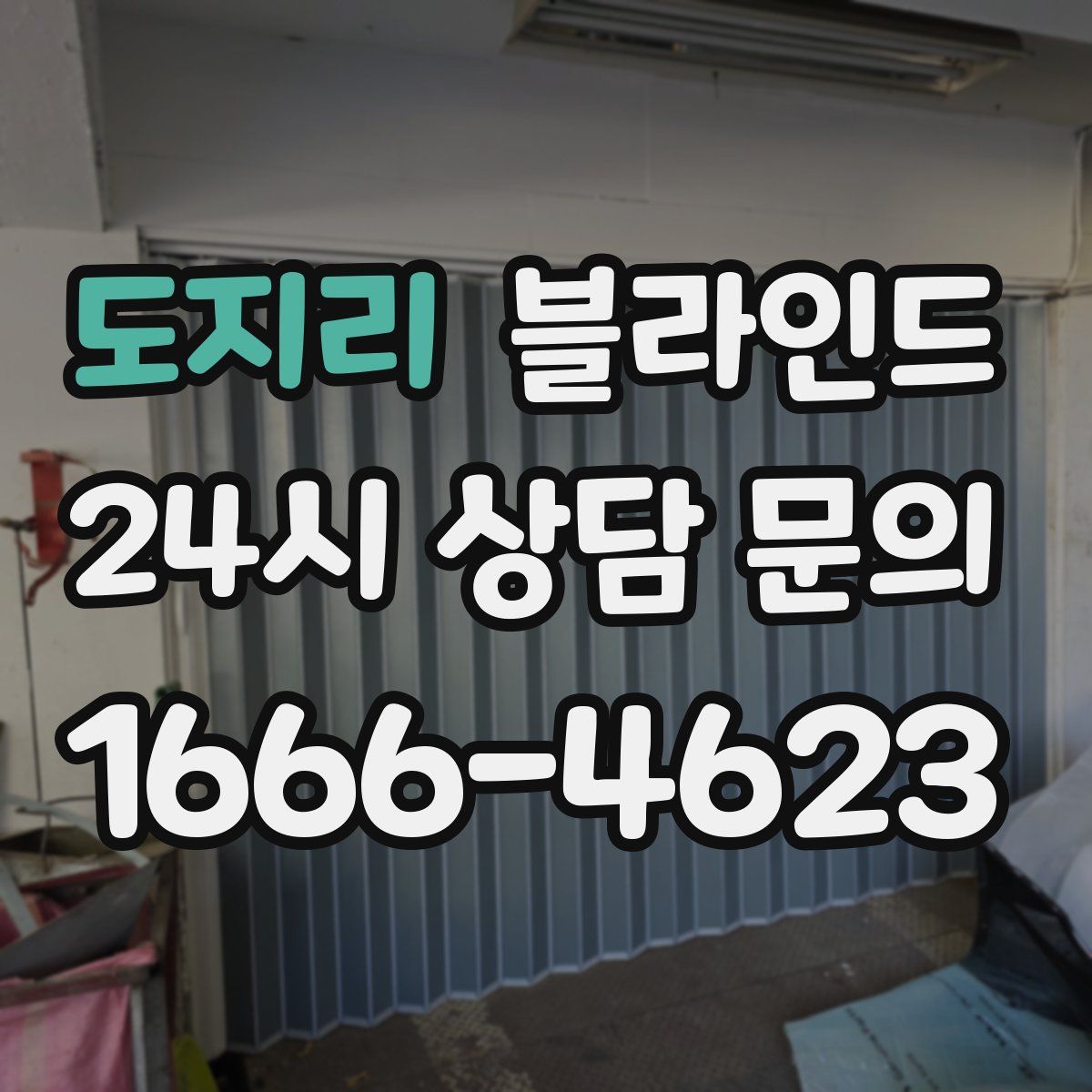 도지리 블라인드