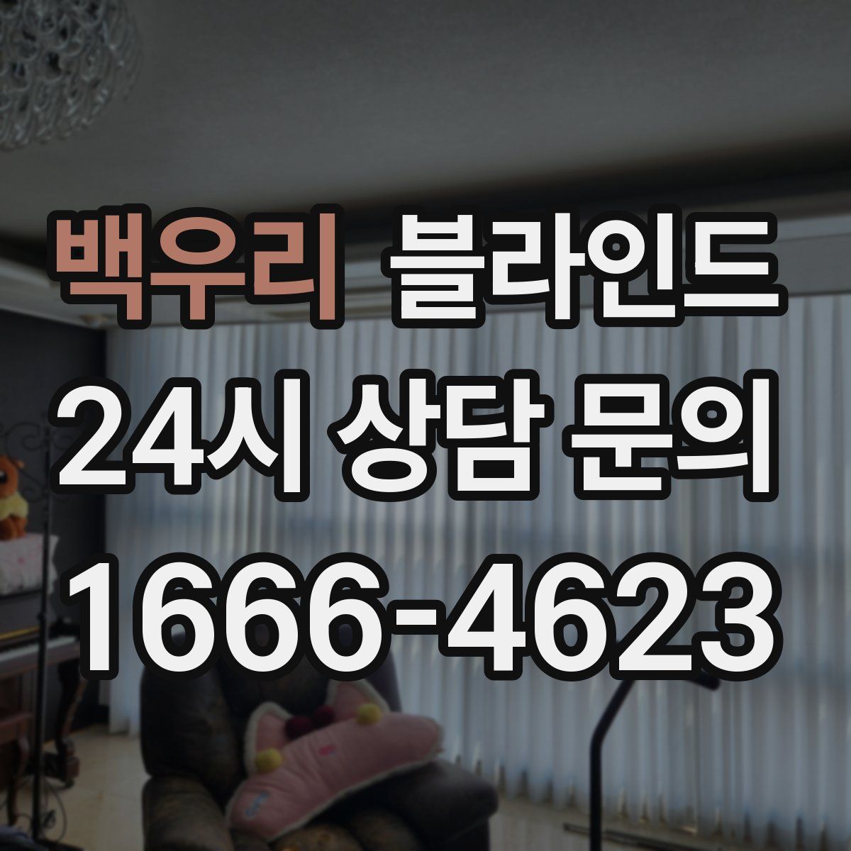 백우리 블라인드