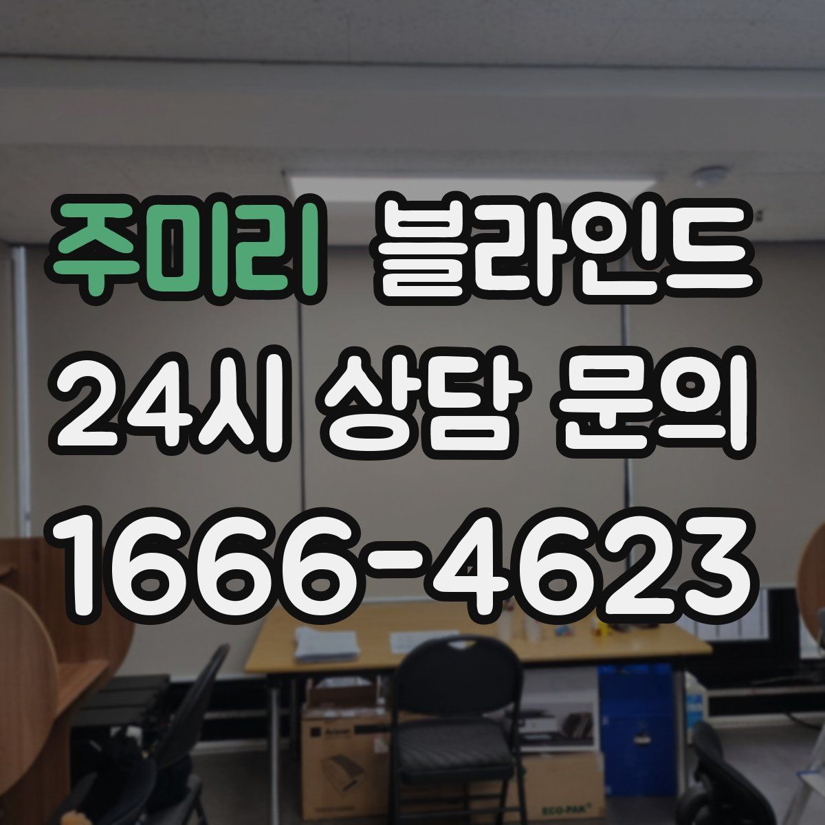 주미리 블라인드