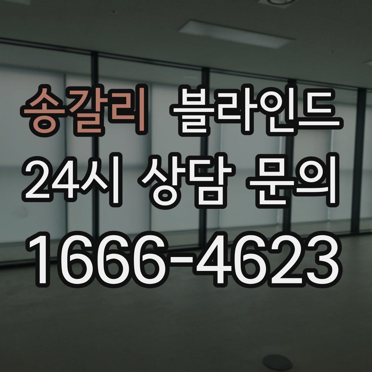 송갈리 블라인드