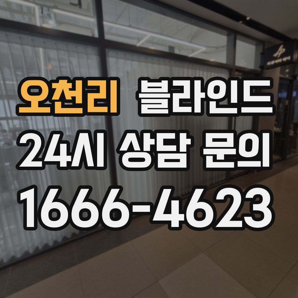 오천리 블라인드