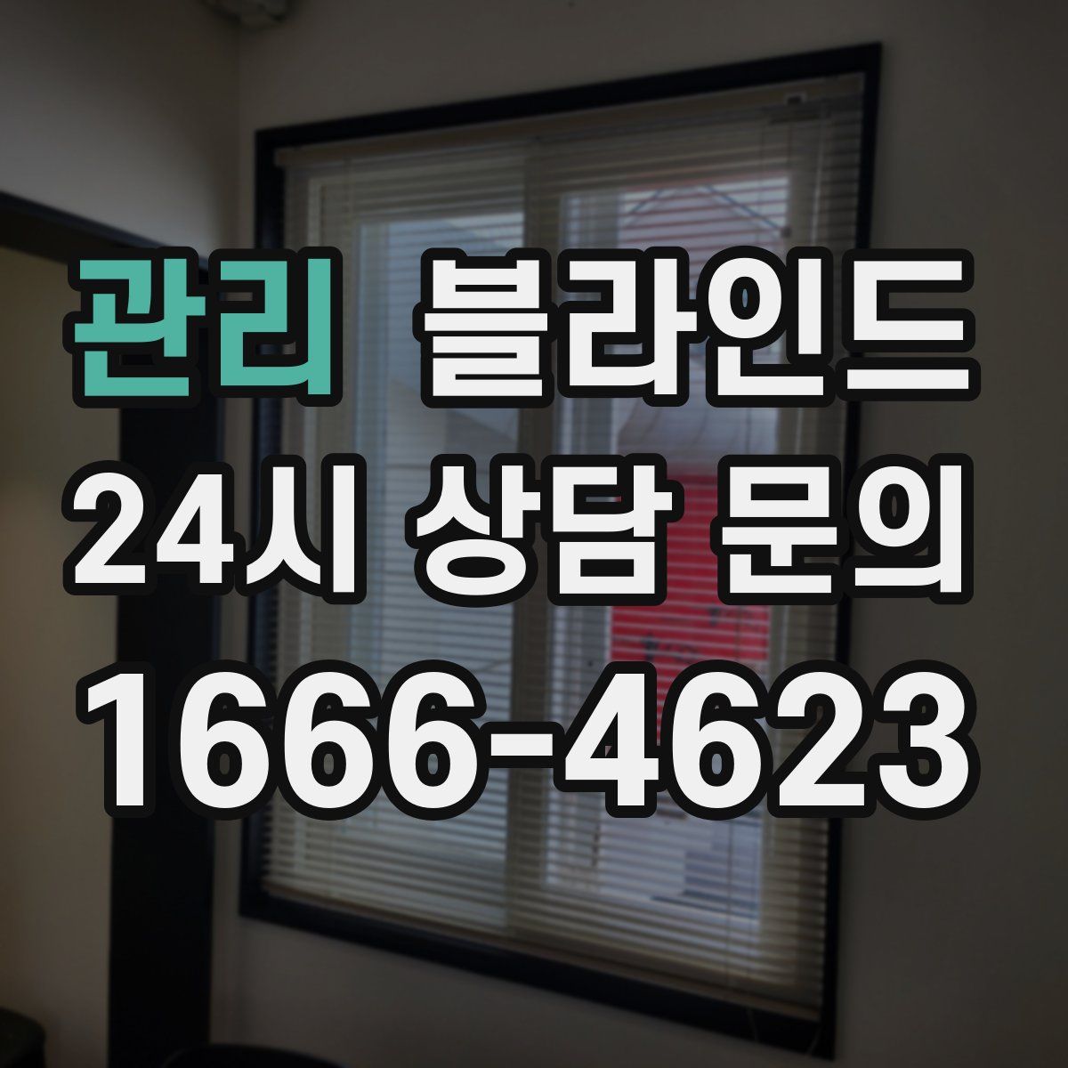 관리 블라인드