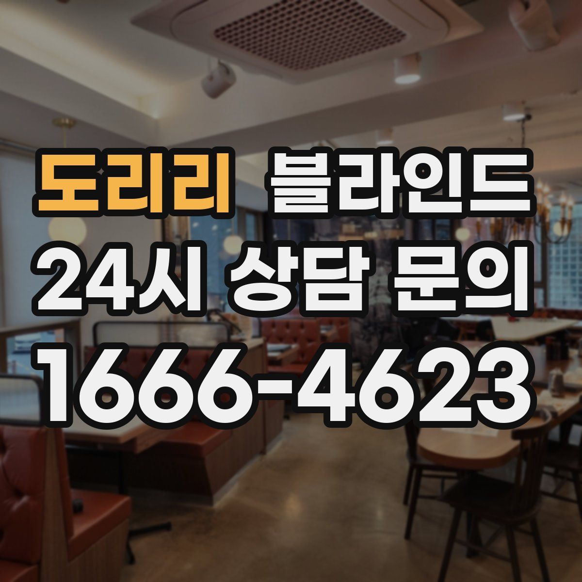 도리리 블라인드