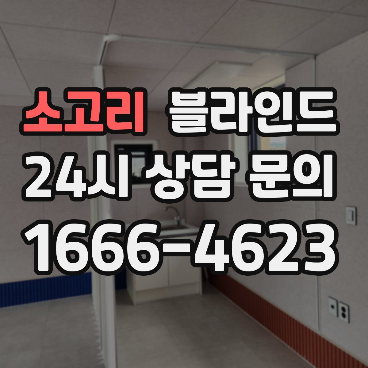 소고리 블라인드