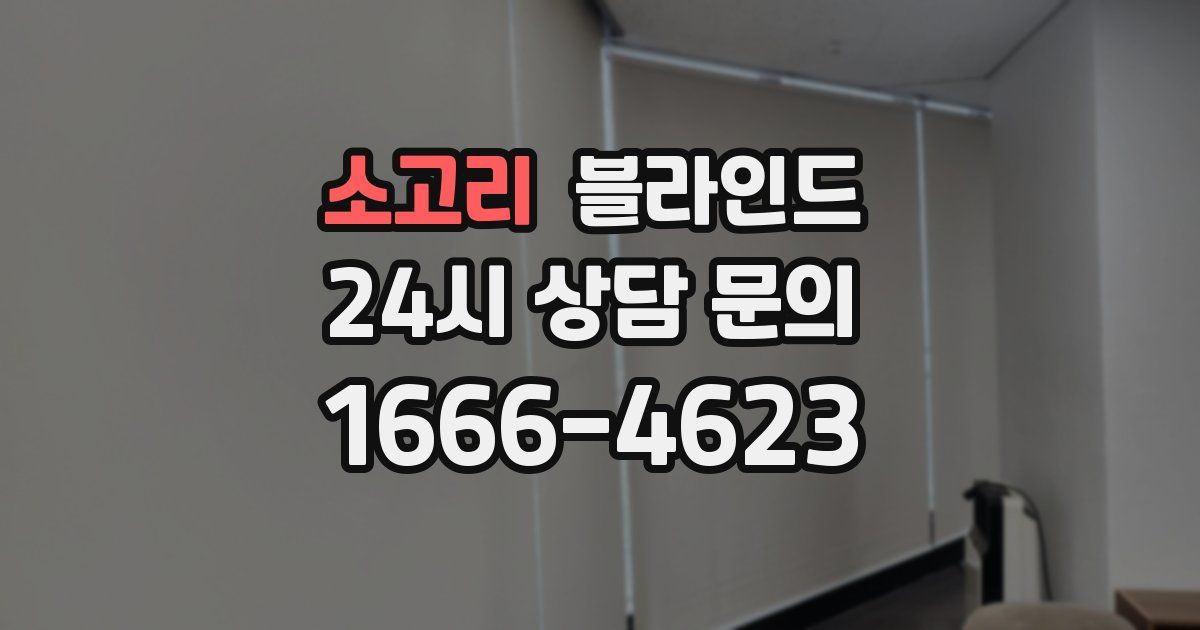 소고리 블라인드