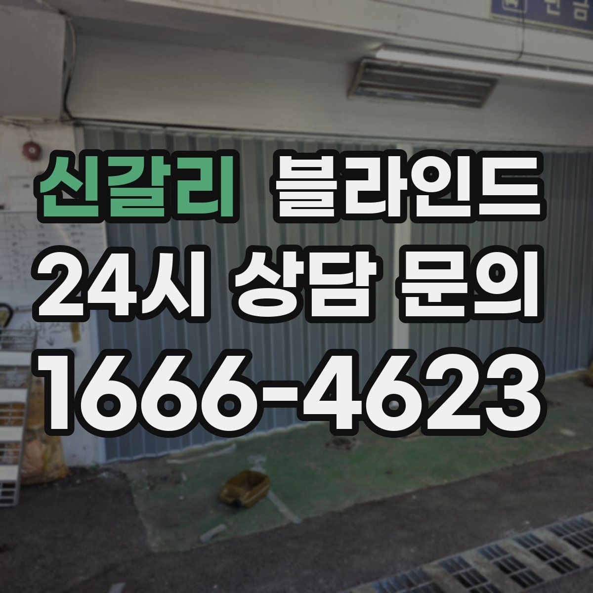 신갈리 블라인드