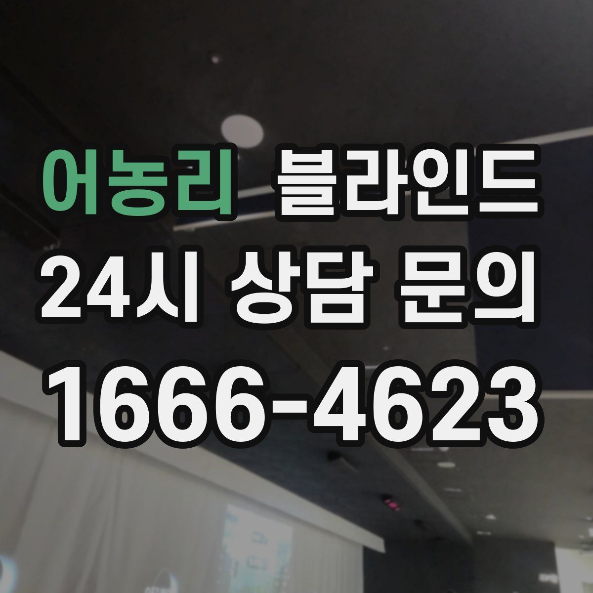 어농리 블라인드