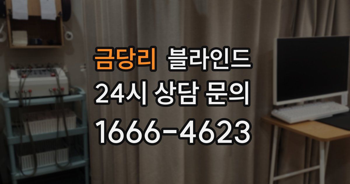 금당리 블라인드