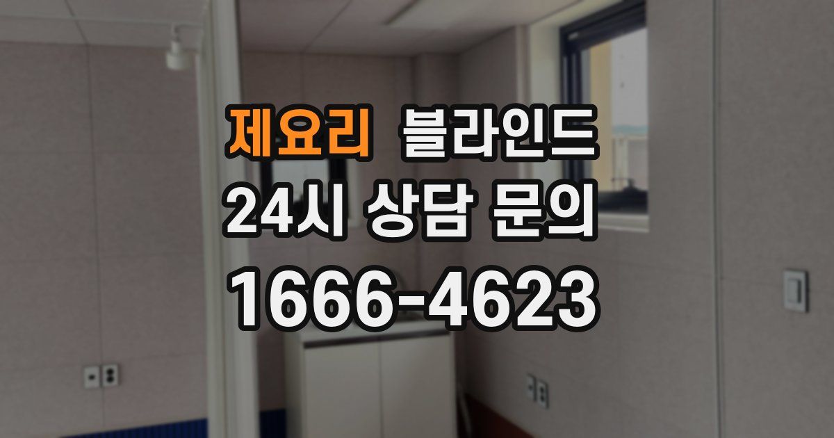 제요리 블라인드