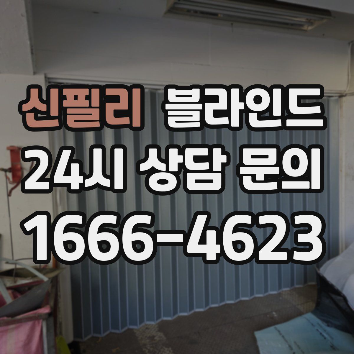신필리 블라인드