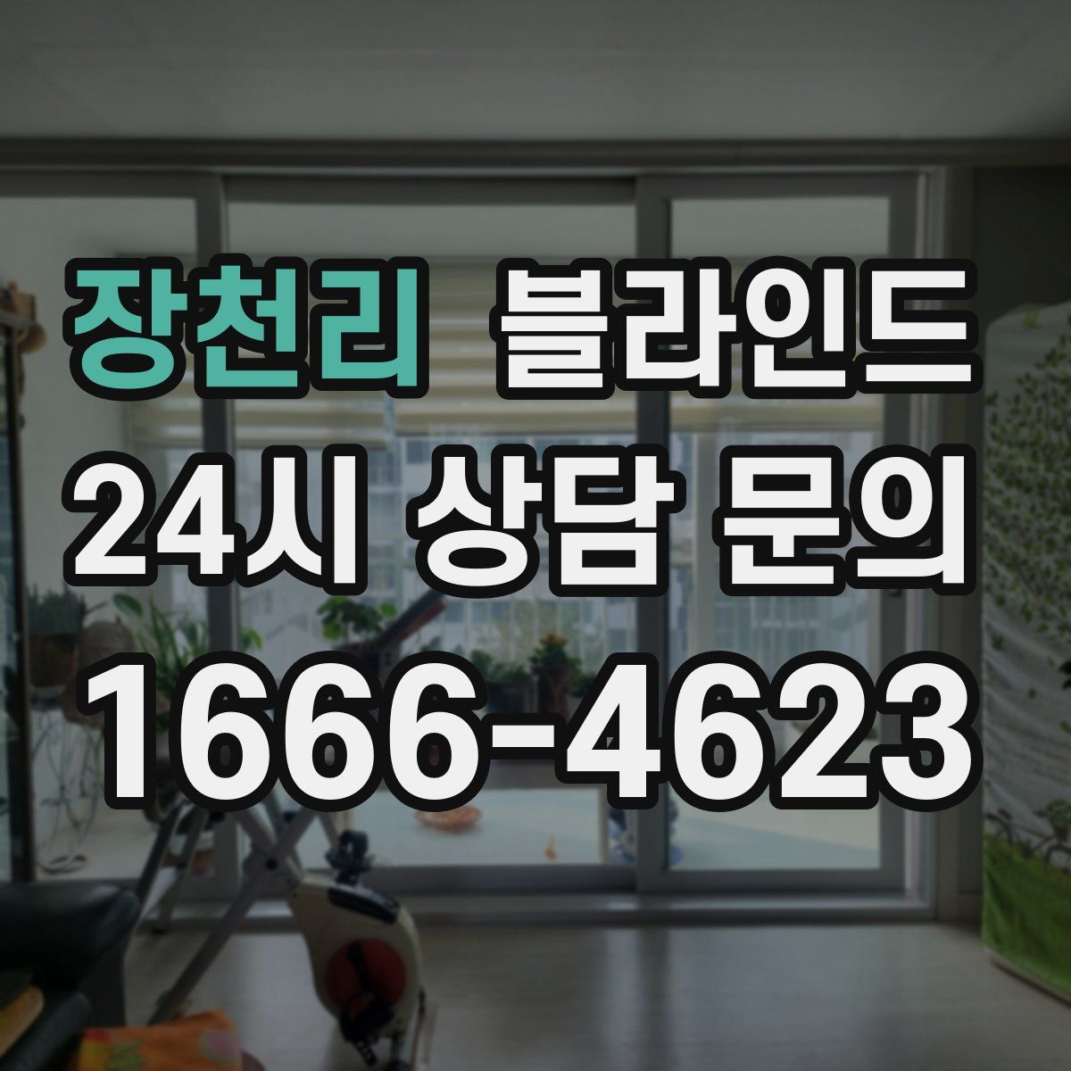 장천리 블라인드