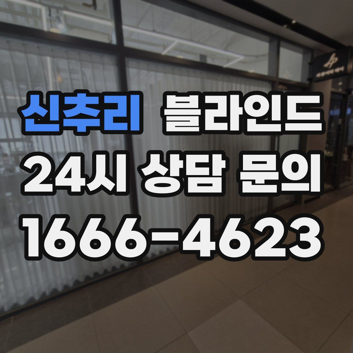 신추리 블라인드