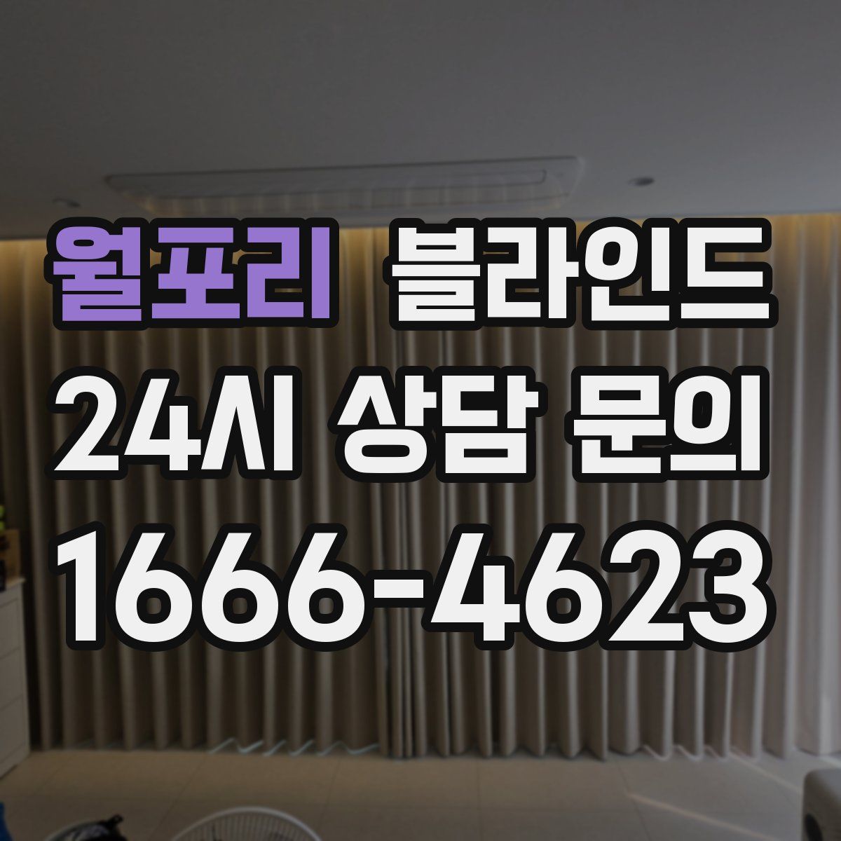 월포리 블라인드