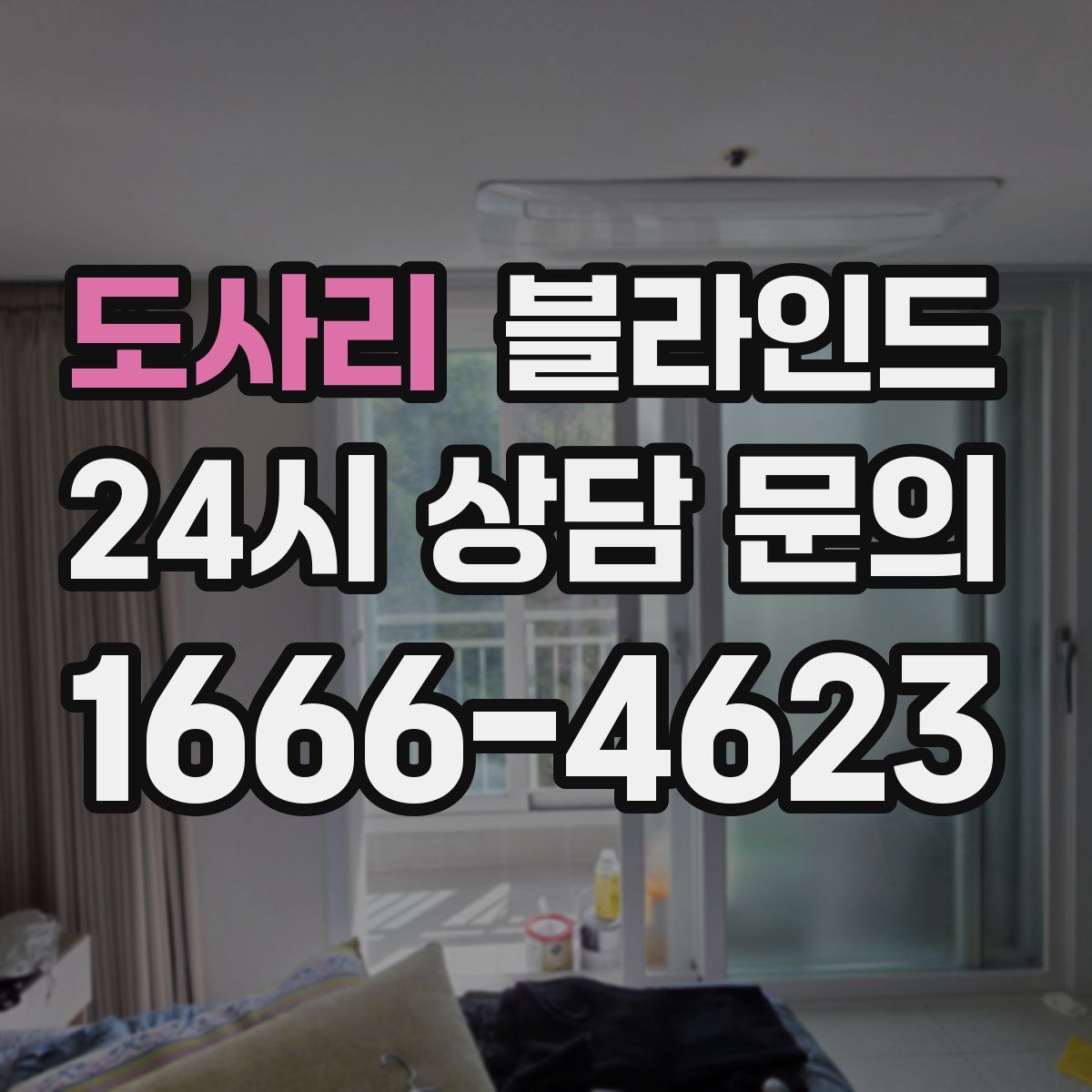 도사리 블라인드