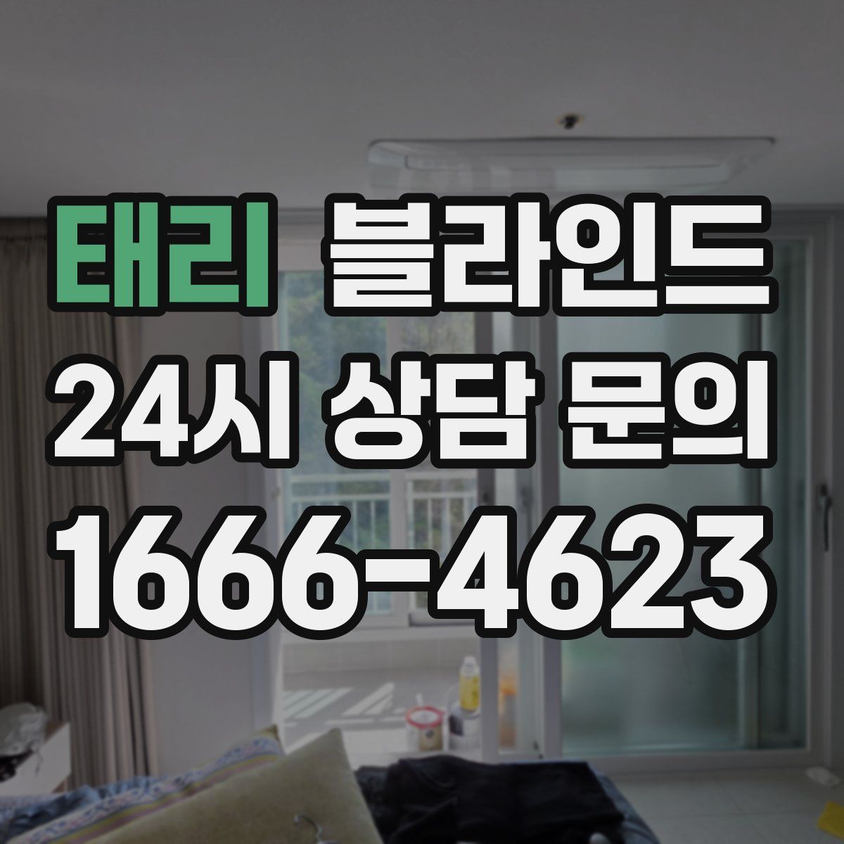 태리 블라인드