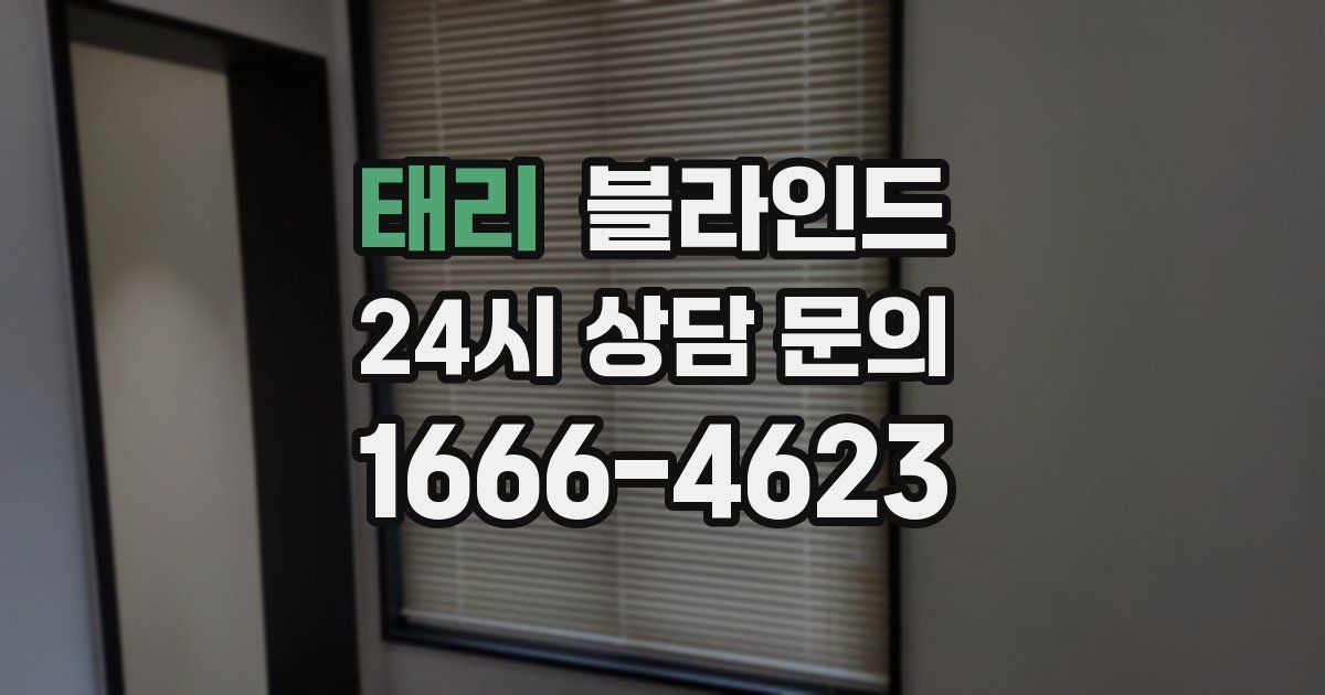태리 블라인드