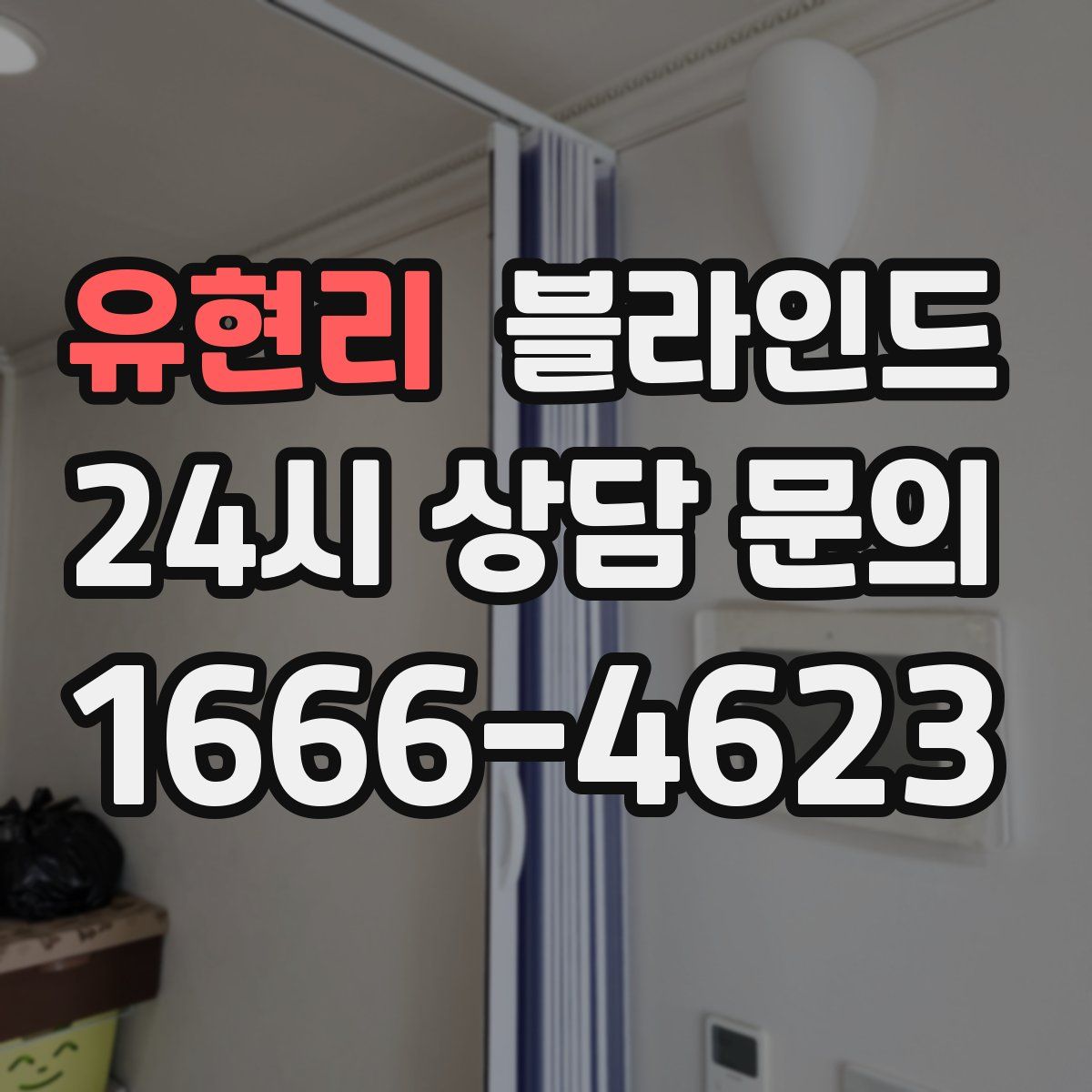 유현리 블라인드