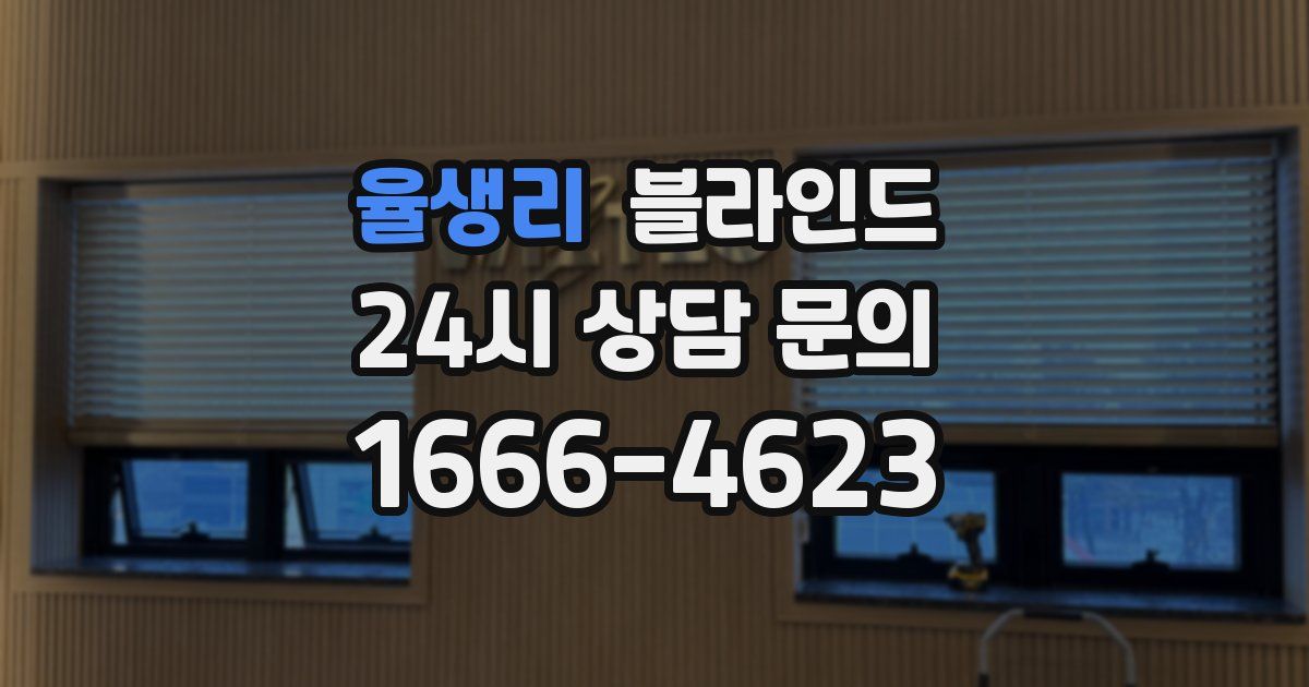 율생리 블라인드