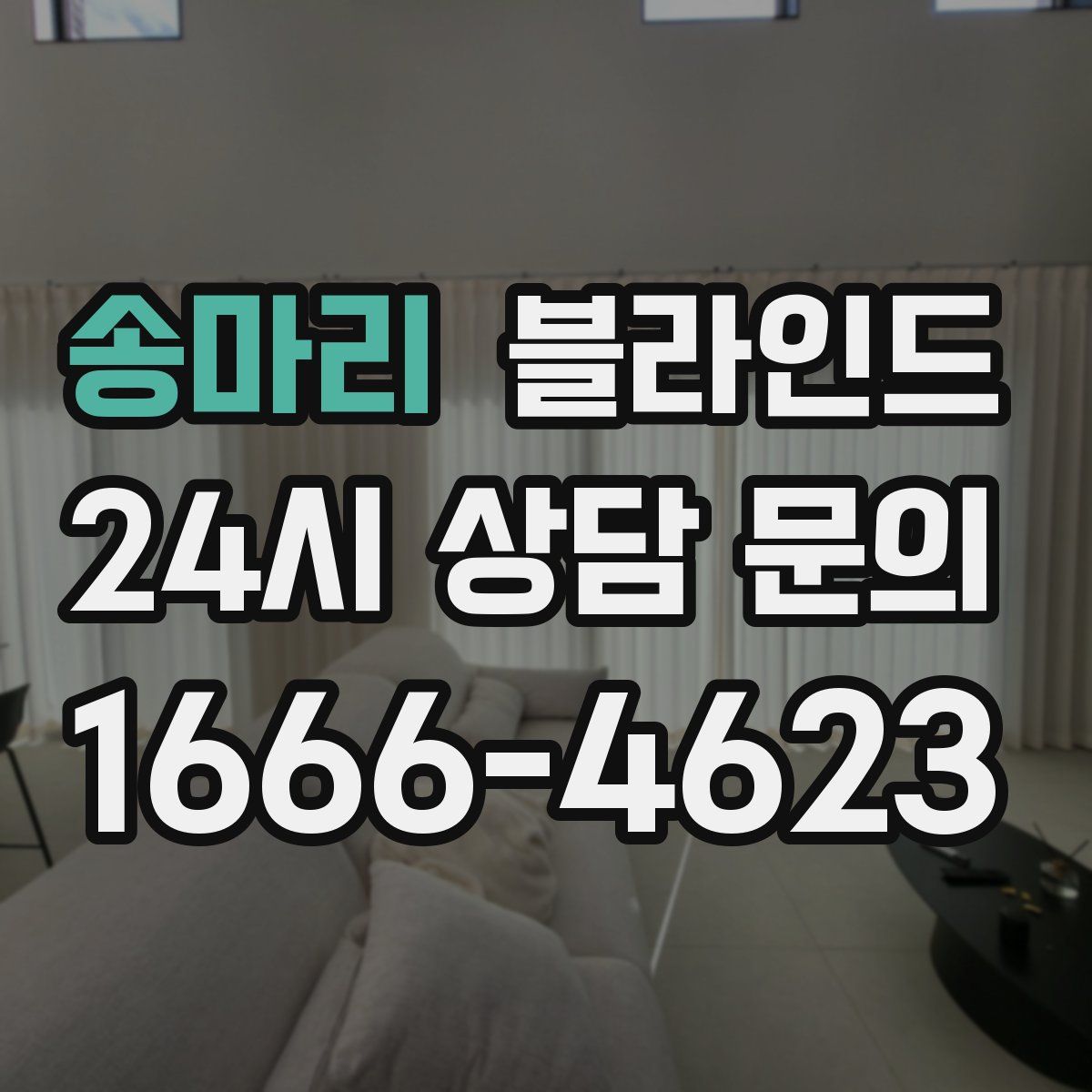 송마리 블라인드