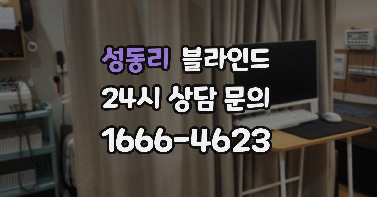 성동리 블라인드