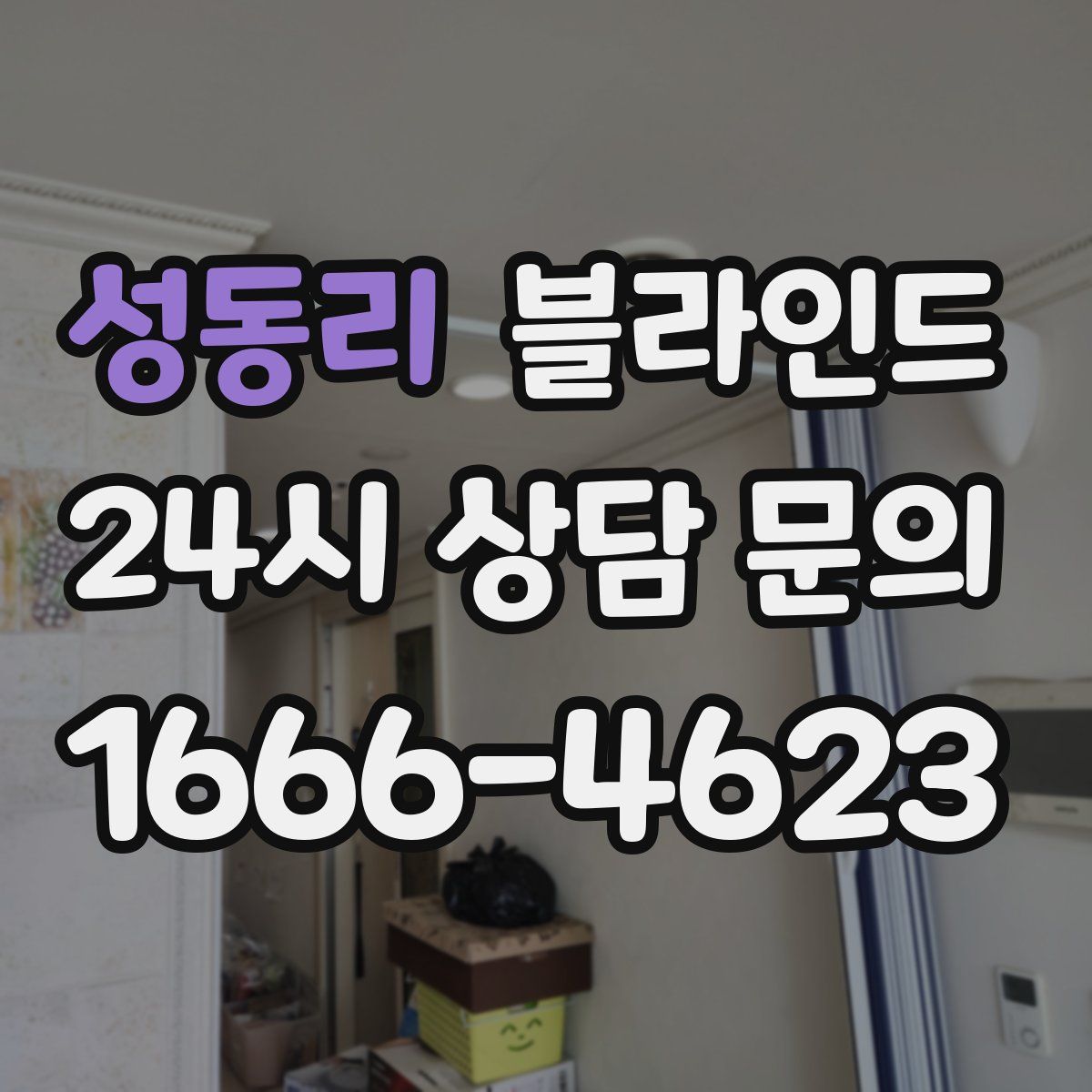 성동리 블라인드