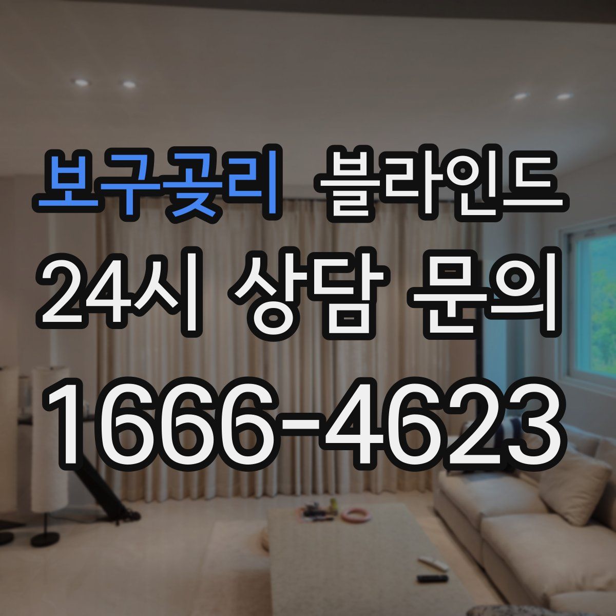 보구곶리 블라인드