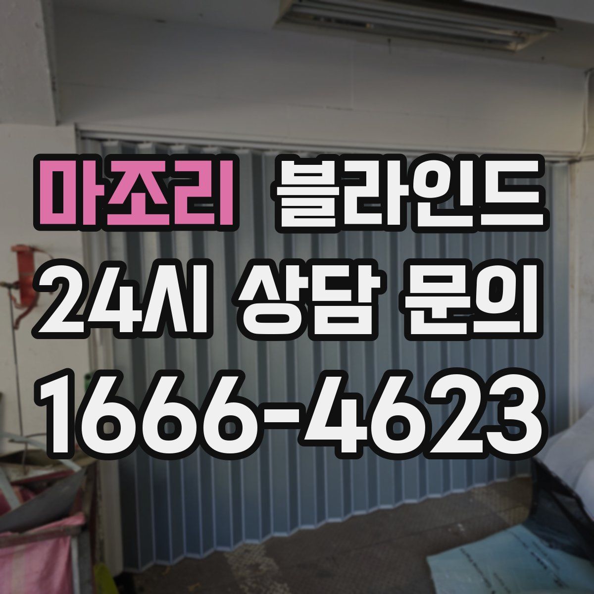 마조리 블라인드