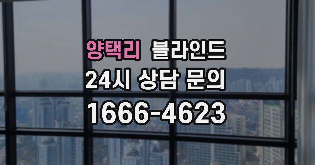 양택리 블라인드