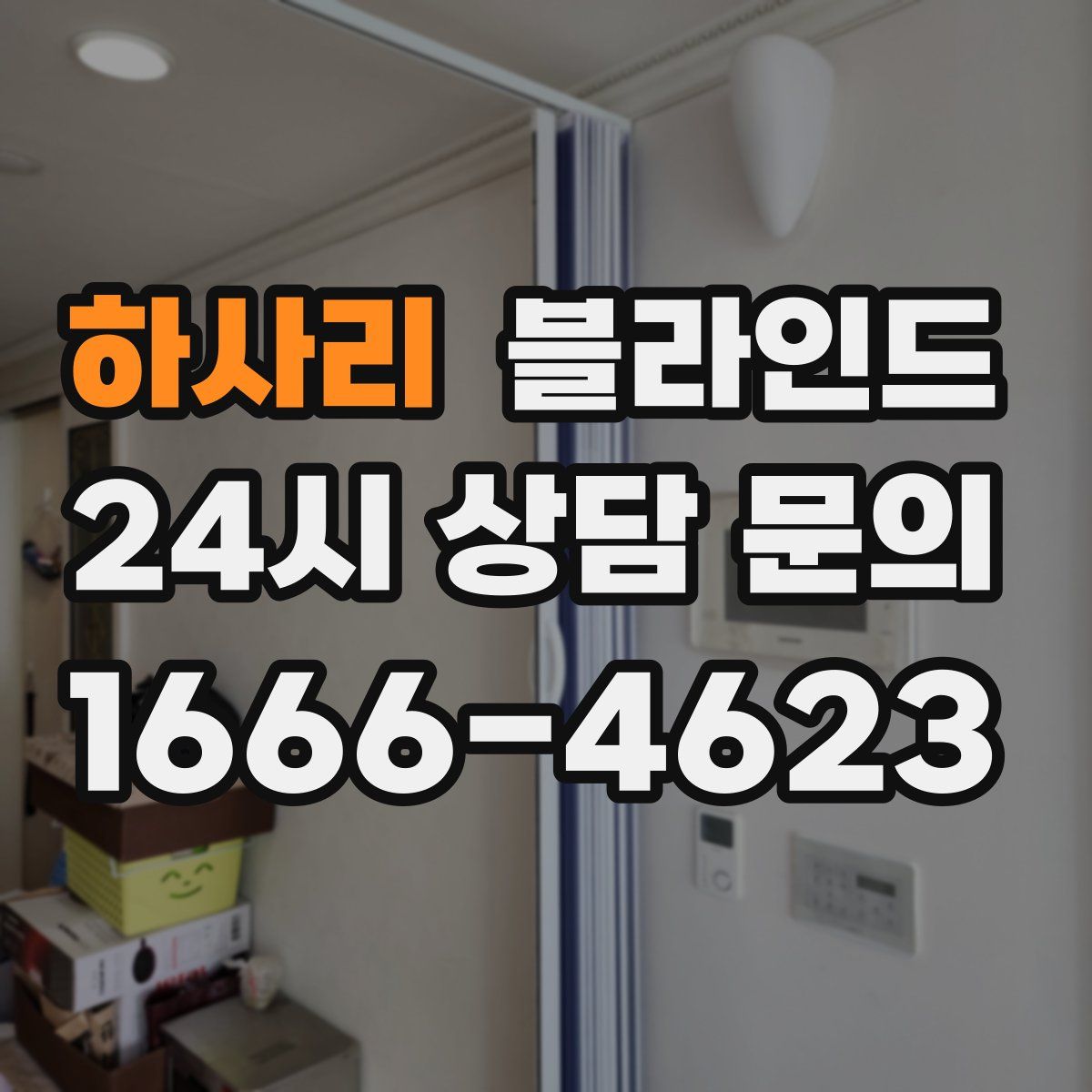 하사리 블라인드